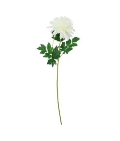 Single Dahlia Assorted 65cm