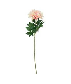 Single Dahlia Assorted 65cm