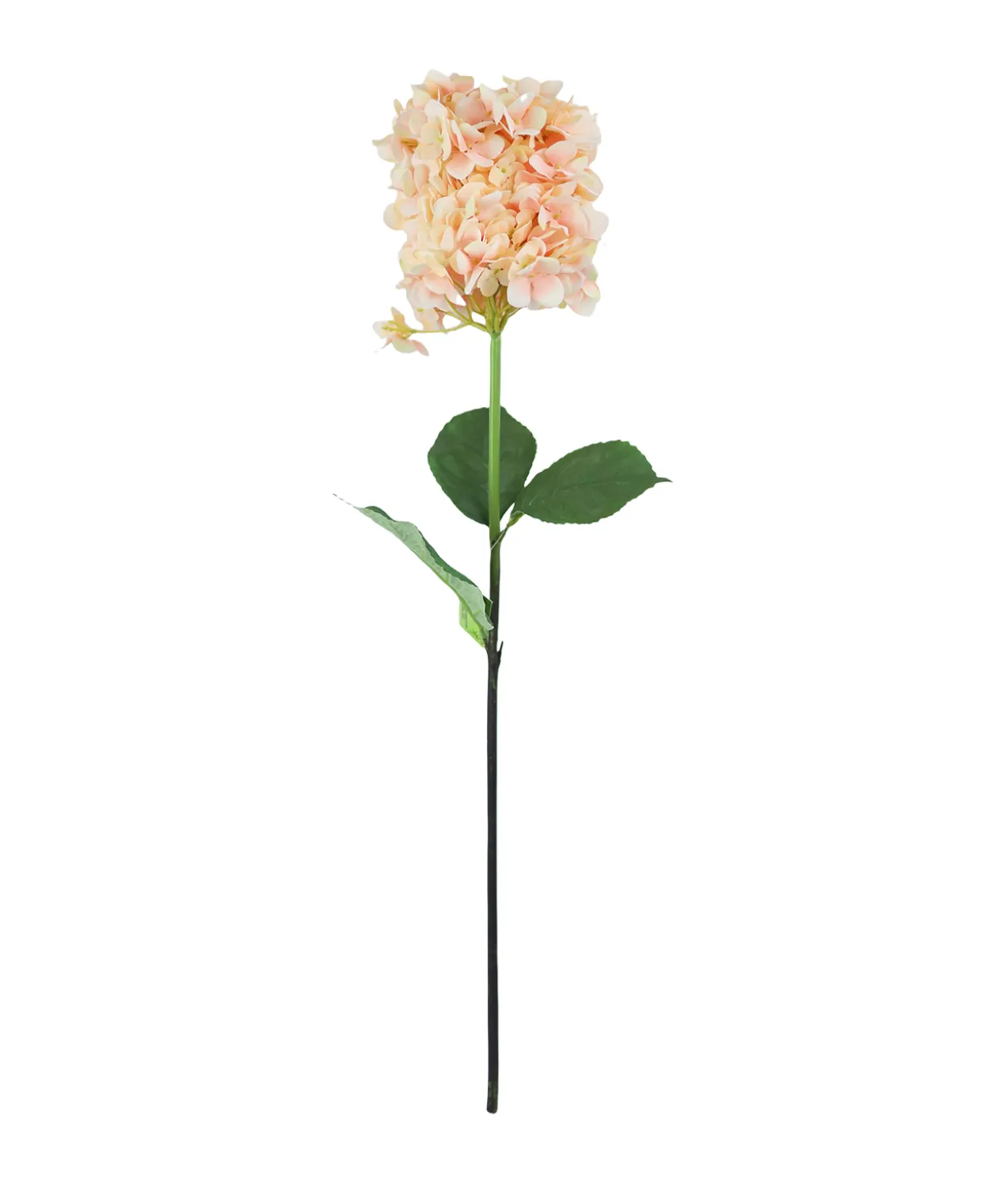 Single Hydrangea Assorted 81cm