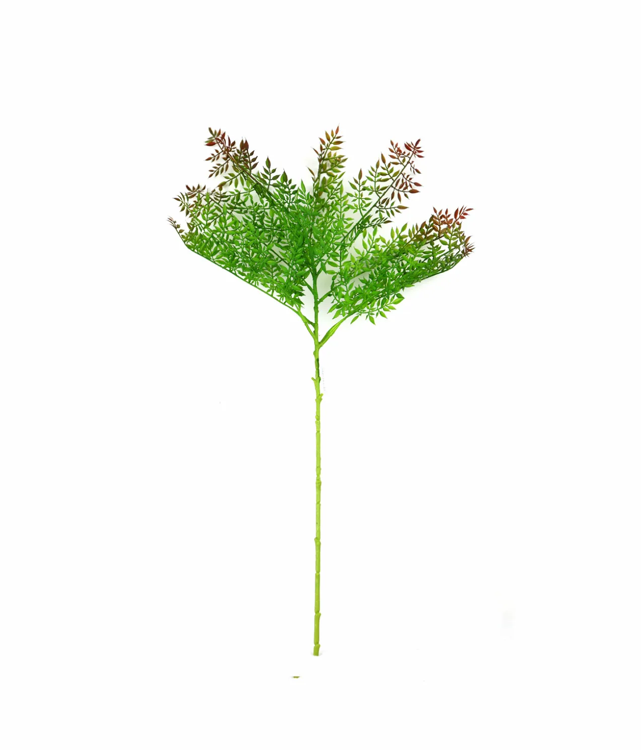 Single Leaf 72cm #4