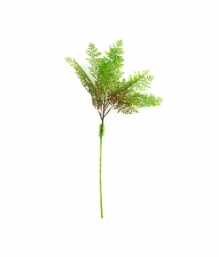 Single Leaf 72cm #3