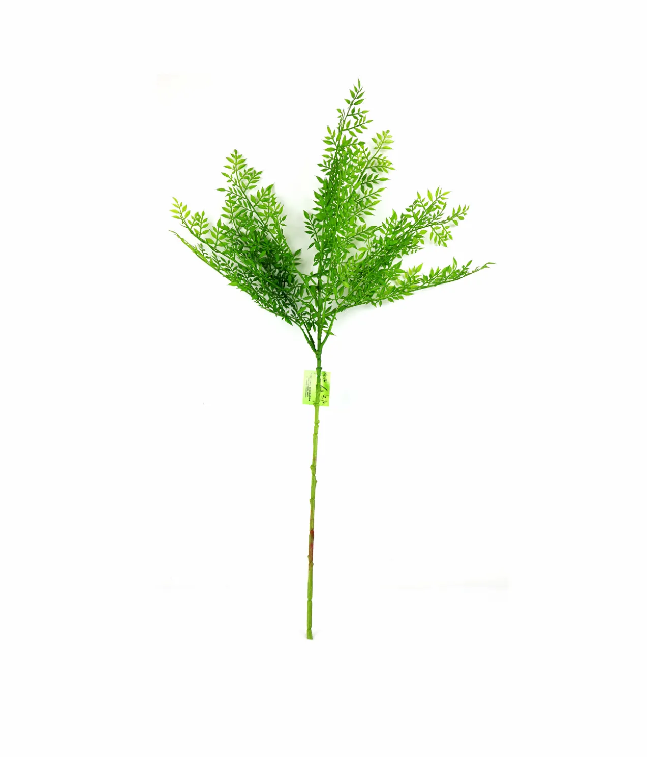 Single Leaf 72cm #2