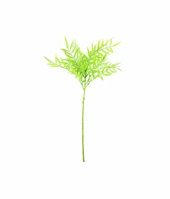 Single Leaf 70cm #1