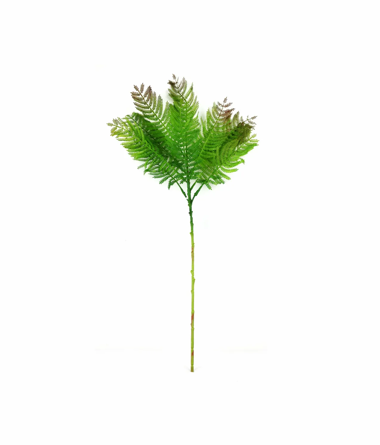 Single Leaf 70cm #3