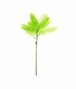 Single Leaf 70cm #1