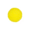 Squeaky & Spiky Dog Toy Assorted 8cm