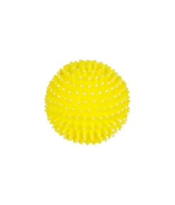 Squeaky & Spiky Dog Toy Assorted 8cm
