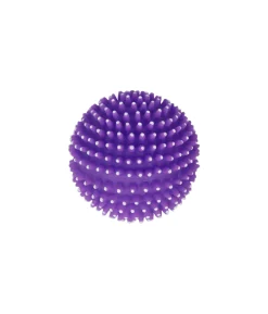 Squeaky & Spiky Dog Toy Assorted 8cm