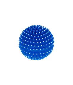Squeaky & Spiky Dog Toy Assorted 8cm
