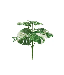Striated Monstera 9 Head 28cm