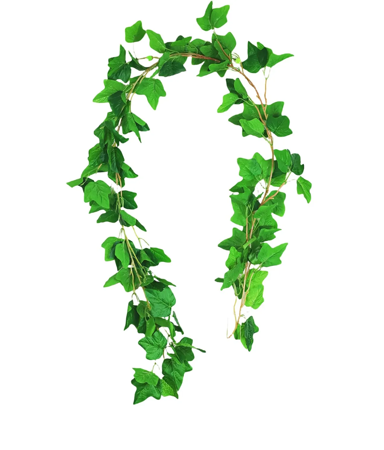 Sweet Potato Vine 200cm