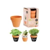 Terracotta Pots Mini 3 Pack