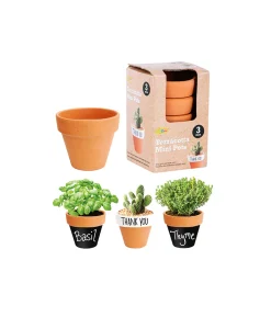 Terracotta Pots Mini 3 Pack