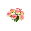 2 Tone Hot Pink/Cream Rose Bunch 41cm