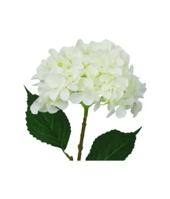 2 tone White & Green Hydrangea 63cm
