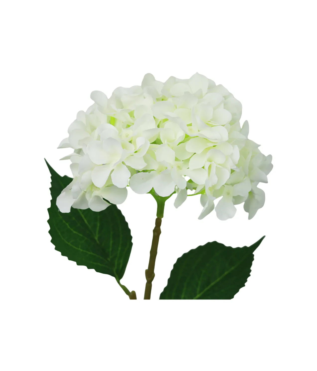 2 tone White & Green Hydrangea 63cm
