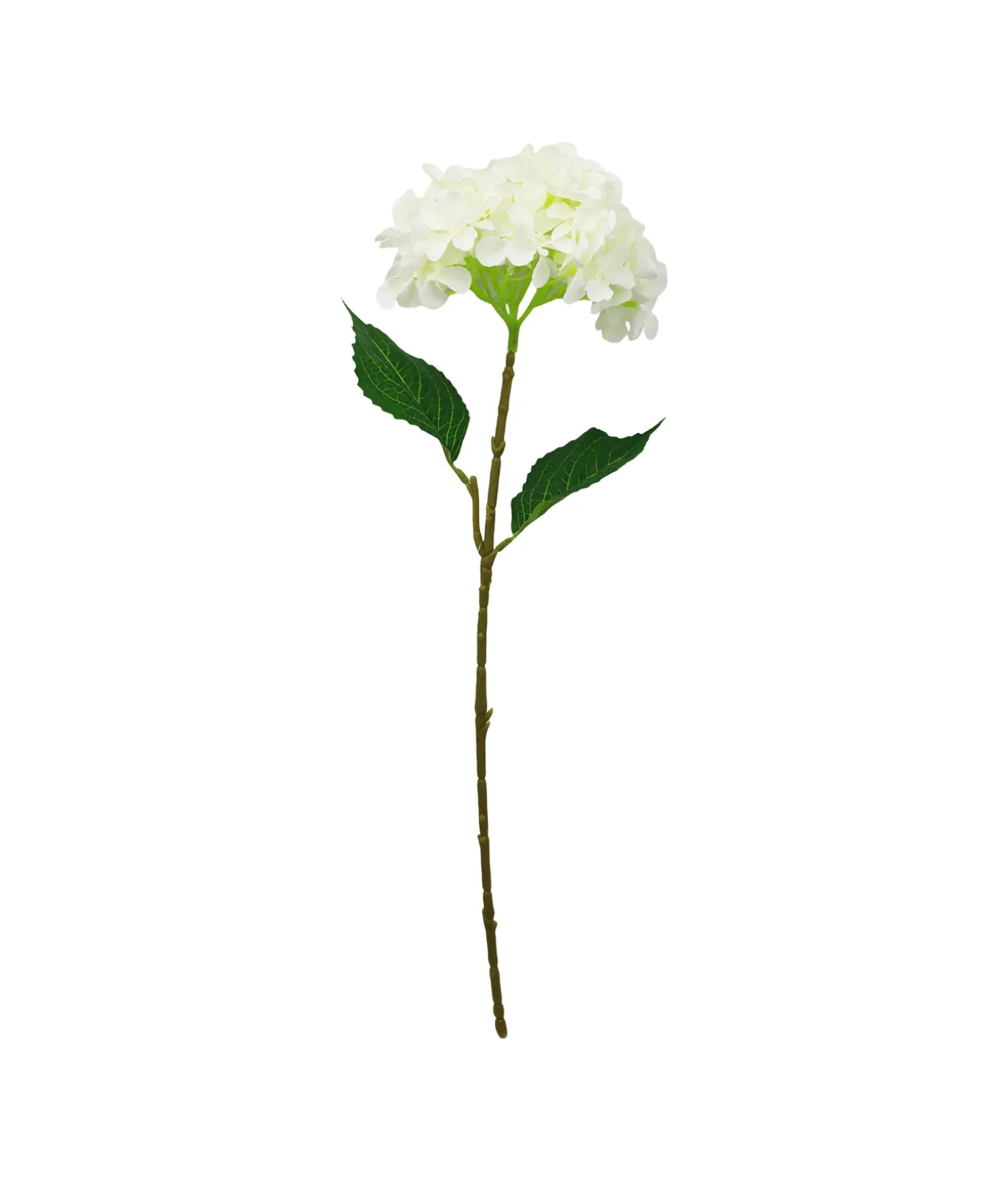 2 tone White & Green Hydrangea 63cm