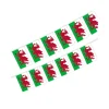 Wales Flag Bunting 5m