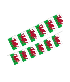 Wales Flag Bunting 5m