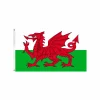 Wales Flag 90x150cm