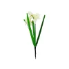 White Daffodil 48cm