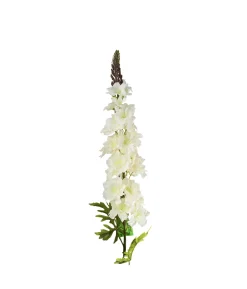 White Delphinium Flower 31 Stems 105cm