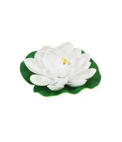 White Floating Water Lily 18cm