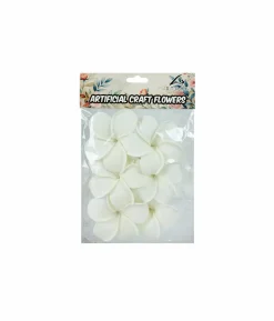 White Frangipani 8cm 6pc