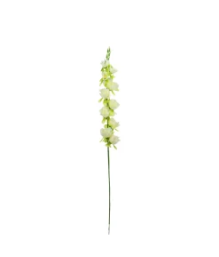 White Gladiolus Bush Flower 7 Head 77cm