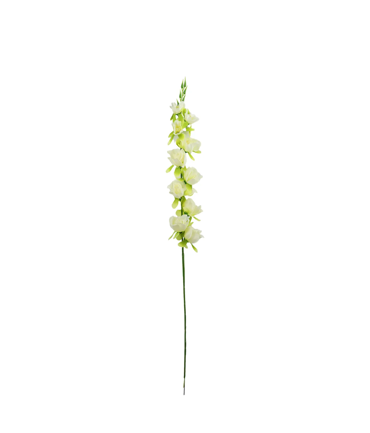 White Gladiolus Bush Flower 7 Head 77cm