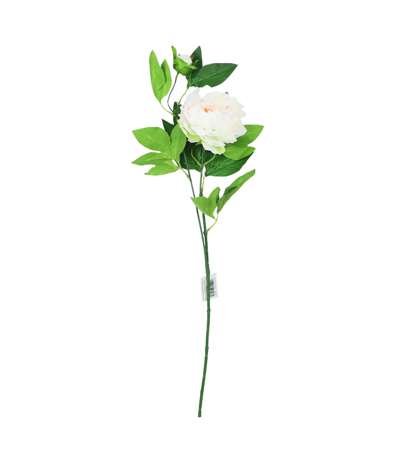 White Green Tea Peony 74cm