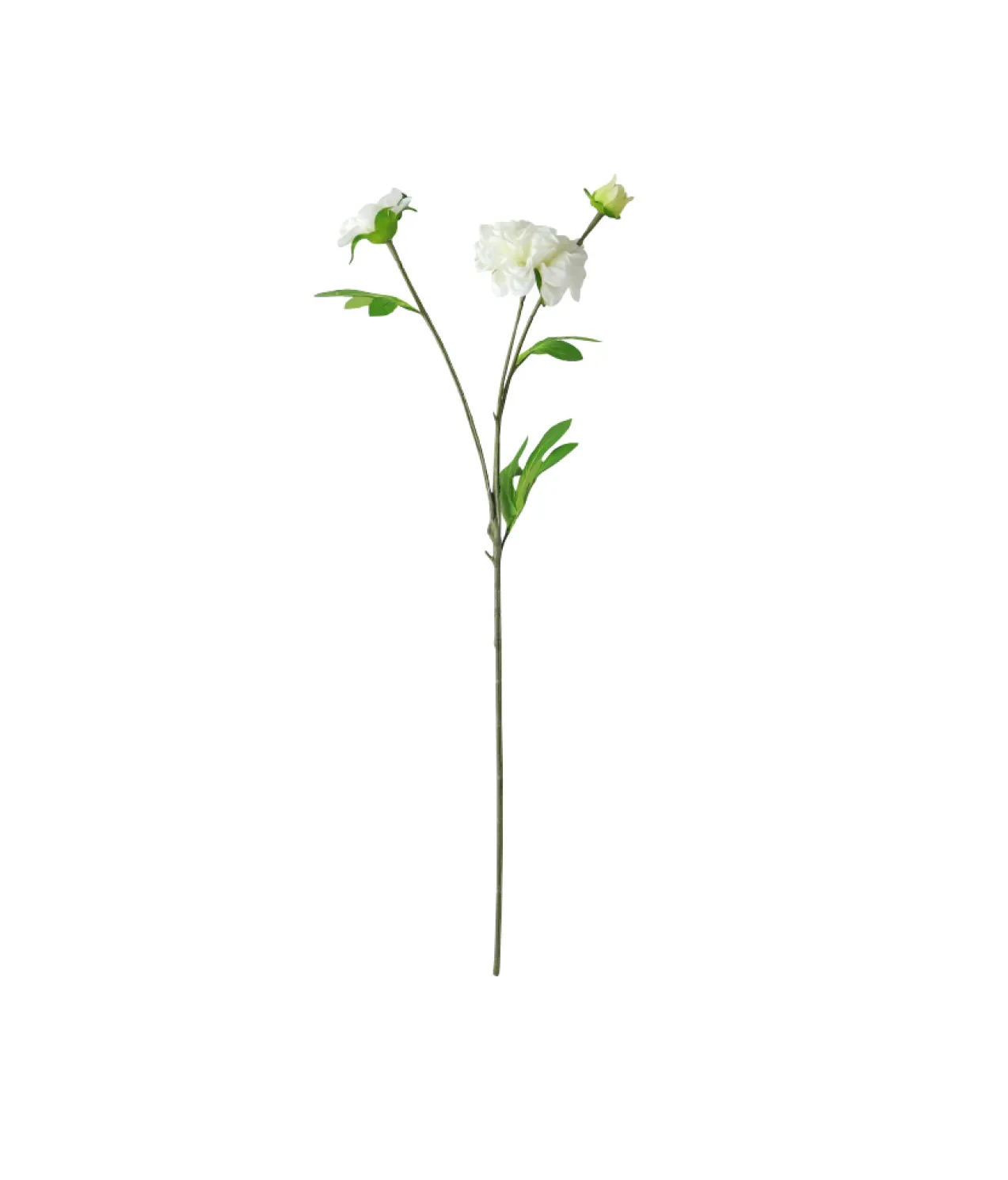White 3 Head Dahlia 62cm