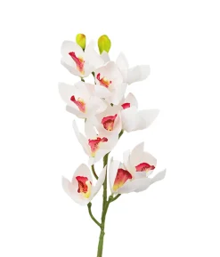 White Orchid With Pink Stamen 71cm