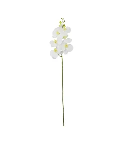White Orchid With Yellow Stamen 88cm