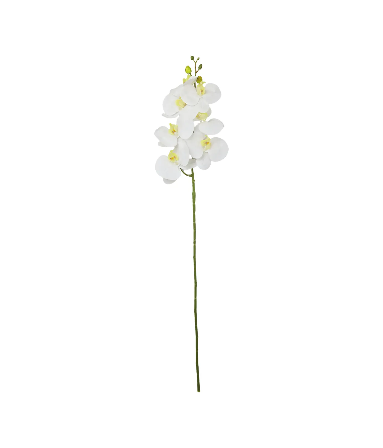 White Orchid With Yellow Stamen 88cm