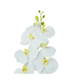 White Orchid With Yellow Stamen 88cm