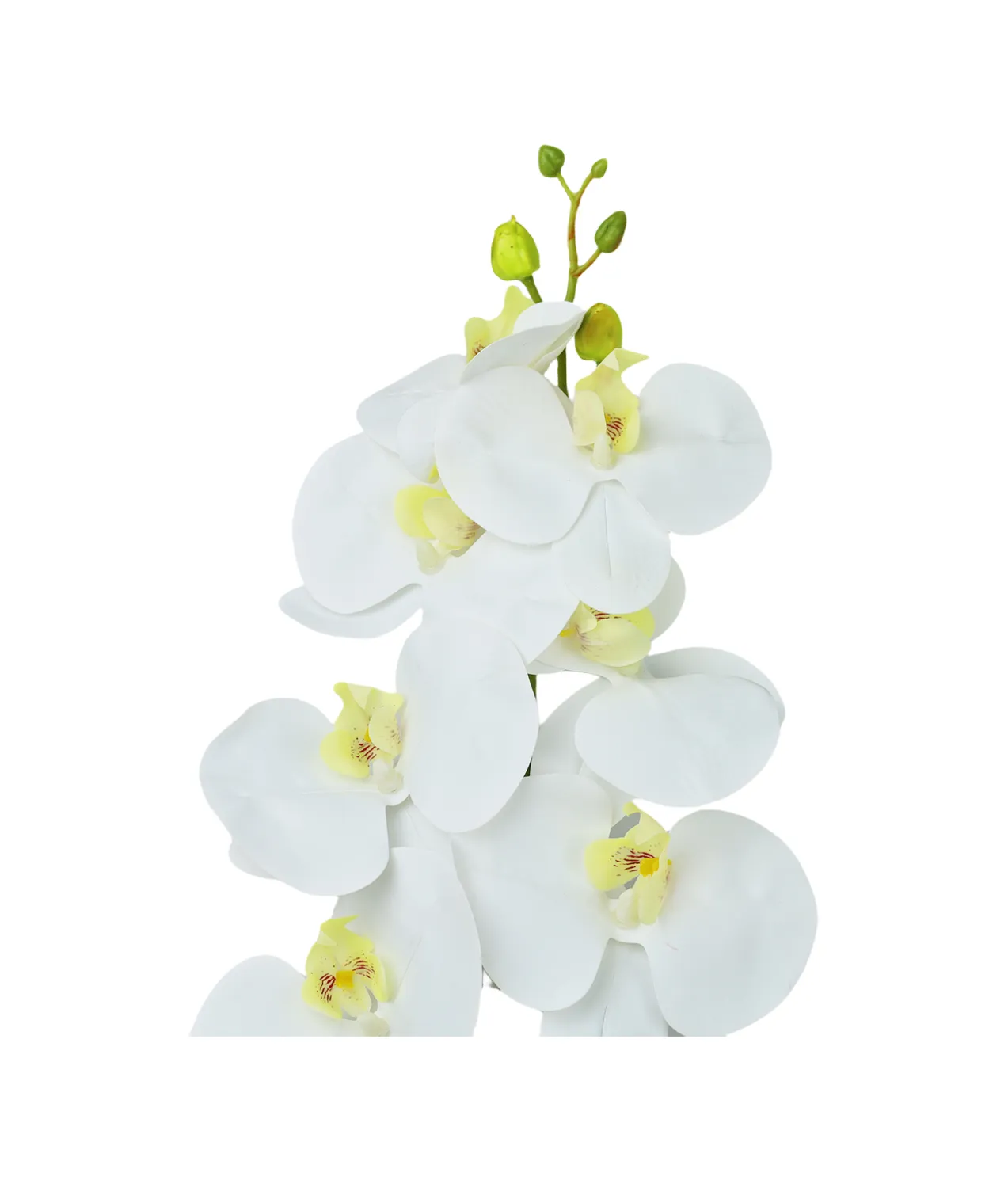 White Orchid With Yellow Stamen 88cm