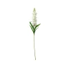 White Single Delphinium 90cm
