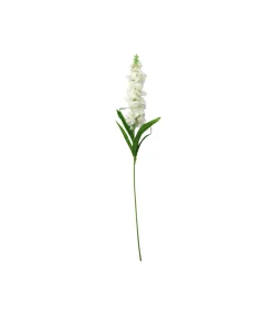 White Single Delphinium 90cm