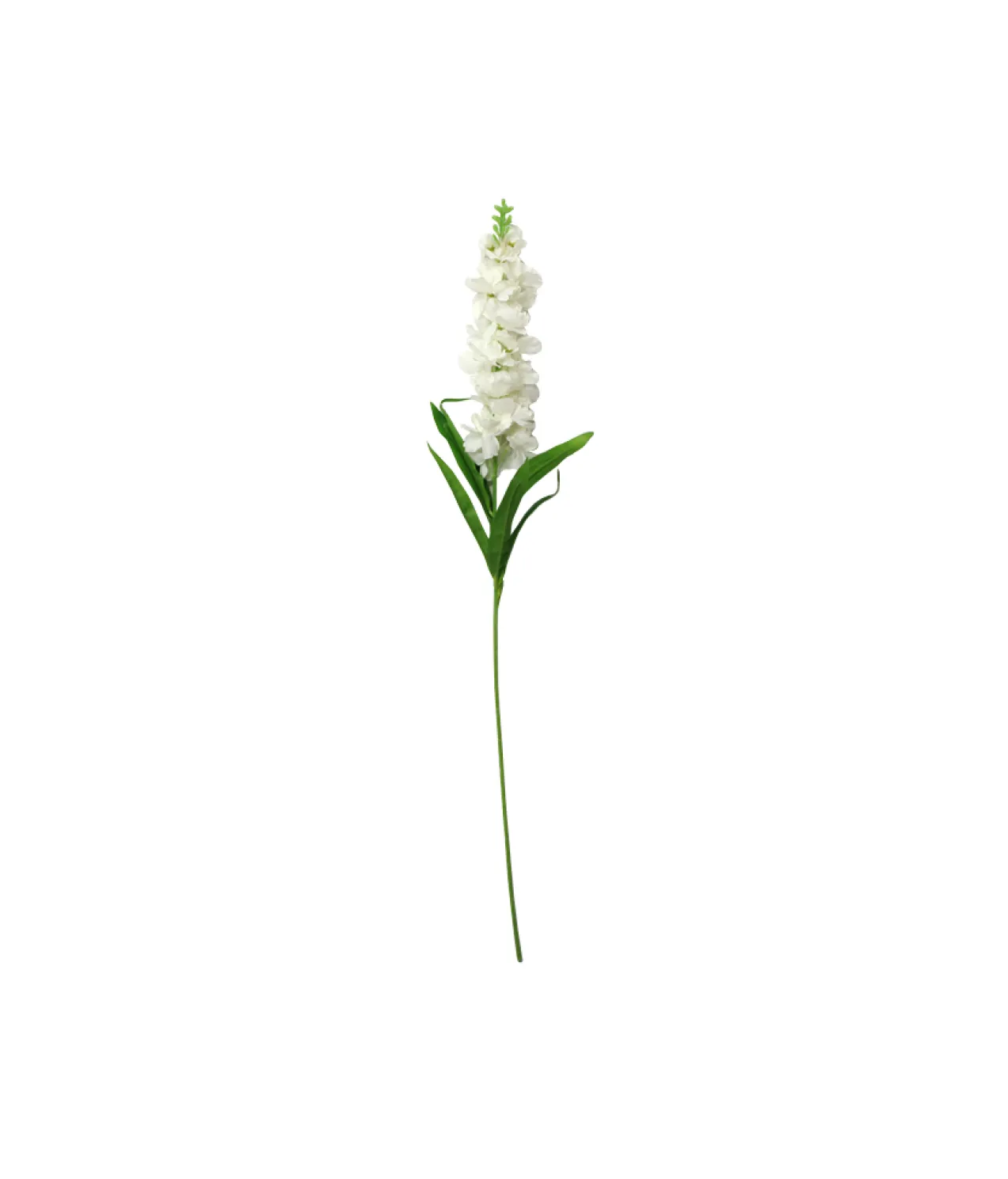 White Single Delphinium 90cm