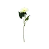White Single Gerbera