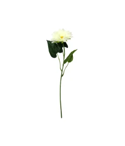 White Single Gerbera