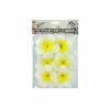 White & Yellow Frangipani 6cm 6pc